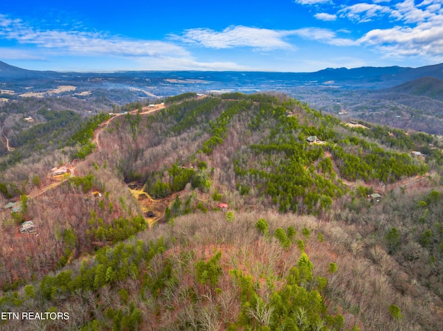 aerial view with a mountain view