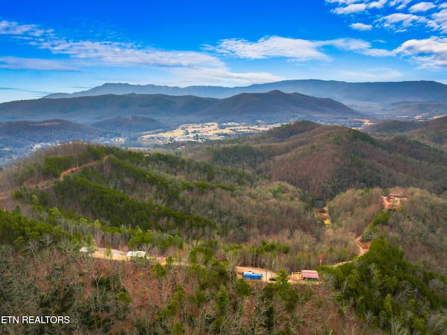 property view of mountains