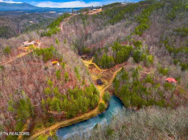 drone / aerial view with a mountain view