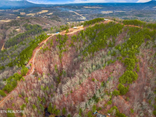 bird's eye view with a mountain view