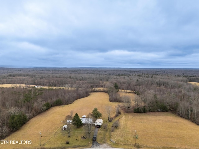 drone / aerial view