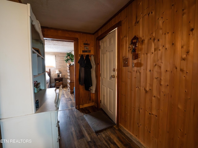 interior space with dark hardwood / wood-style flooring and wooden walls