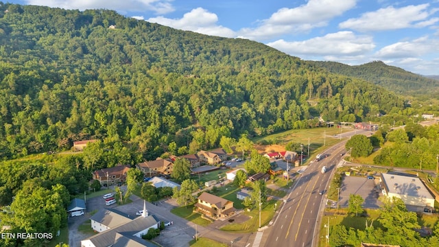 drone / aerial view with a mountain view