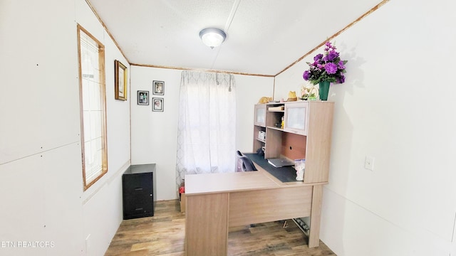 office with light hardwood / wood-style floors and a textured ceiling