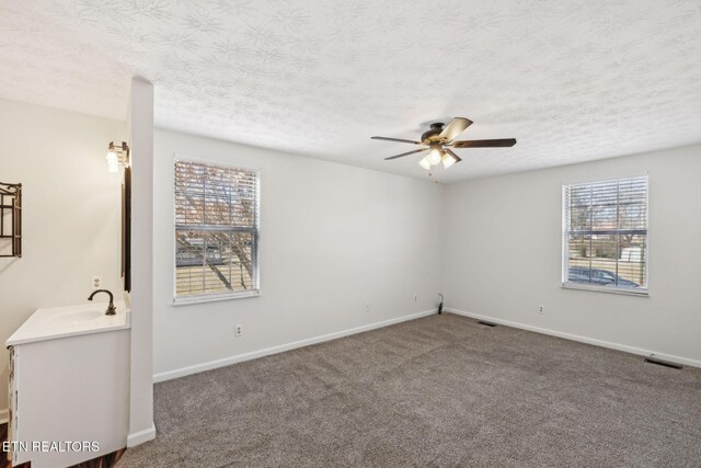 carpeted empty room with plenty of natural light, sink, and a textured ceiling