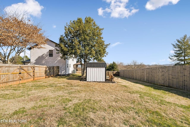 view of yard with a storage shed