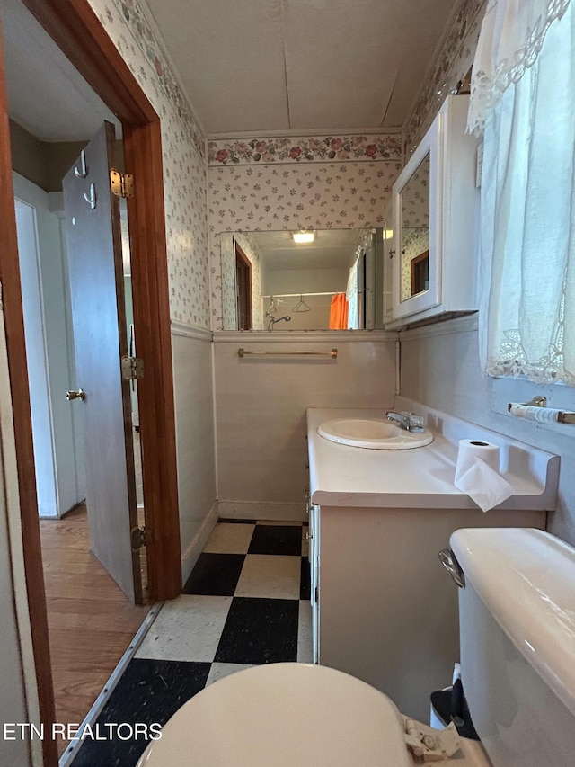 bathroom with vanity and toilet