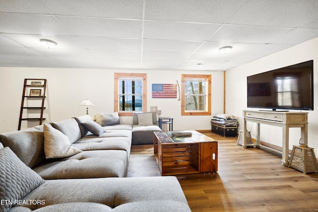 living room with hardwood / wood-style floors and a paneled ceiling