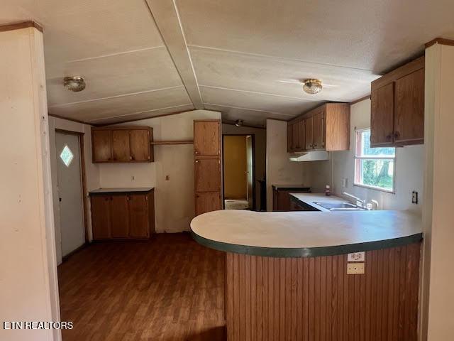 kitchen with lofted ceiling, sink, dark hardwood / wood-style flooring, and kitchen peninsula