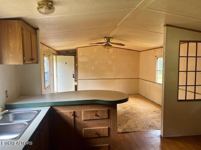 kitchen with vaulted ceiling, ceiling fan, dark hardwood / wood-style flooring, and sink