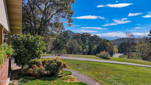 exterior space featuring a lawn and a mountain view