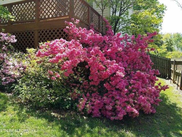 view of yard featuring a deck