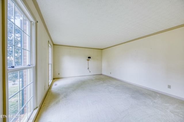 carpeted spare room featuring ornamental molding and a textured ceiling