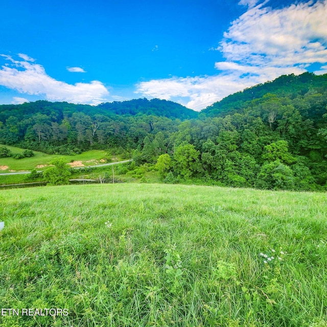 LOT173 Claudes Nest, Sharps Chapel TN, 37866 land for sale