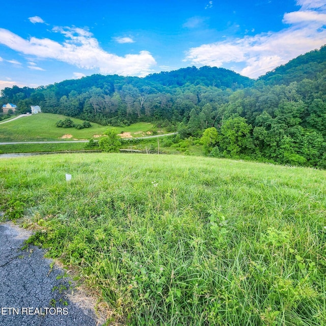 Listing photo 2 for LOT173 Claudes Nest, Sharps Chapel TN 37866