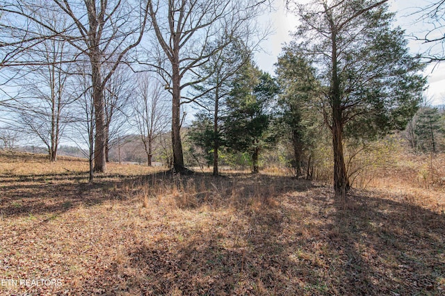 view of landscape