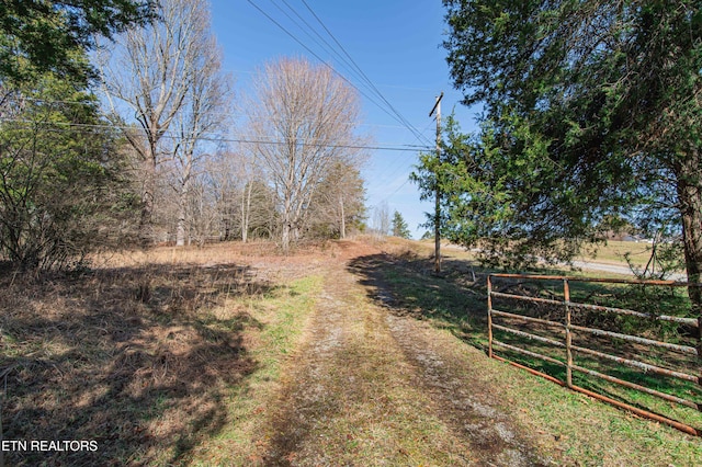 view of road with a rural view