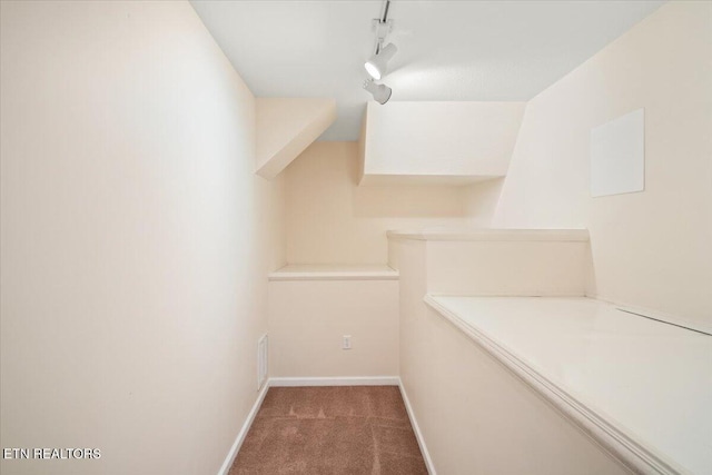 spacious closet with carpet