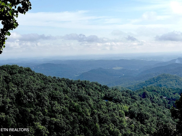 view of mountain feature