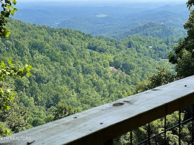 view of mountain feature