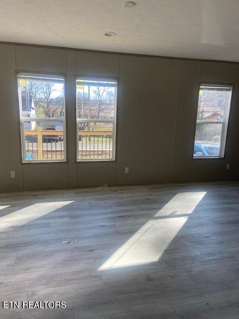 spare room with hardwood / wood-style floors, a textured ceiling, and a wealth of natural light