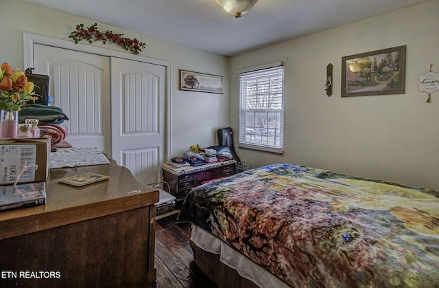 bedroom featuring a closet and dark wood-type flooring