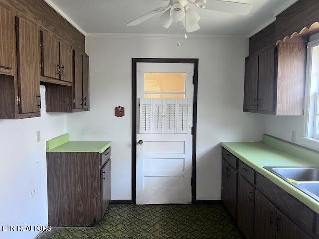 kitchen featuring ceiling fan, ornamental molding, dark brown cabinetry, and sink