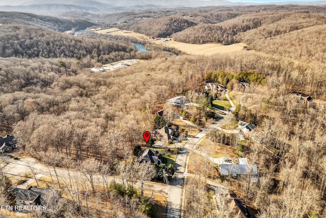 drone / aerial view with a mountain view