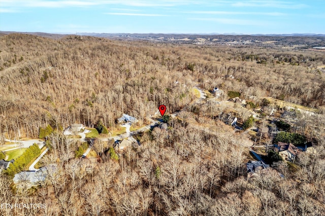 bird's eye view