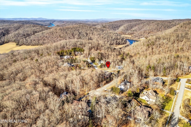 birds eye view of property with a mountain view