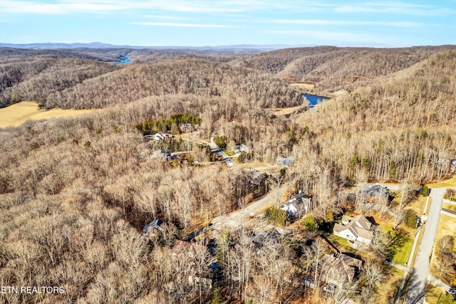 aerial view featuring a mountain view