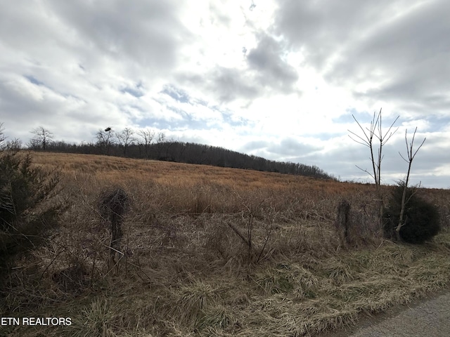 Listing photo 2 for 3.94AC Anderson Rd, Byrdstown TN 38549