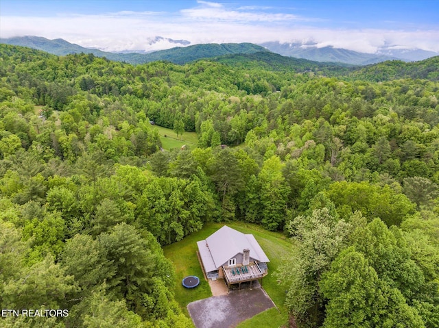 birds eye view of property featuring a mountain view