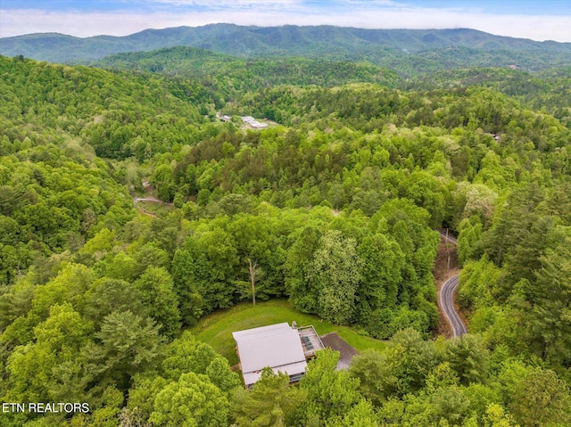 birds eye view of property featuring a mountain view