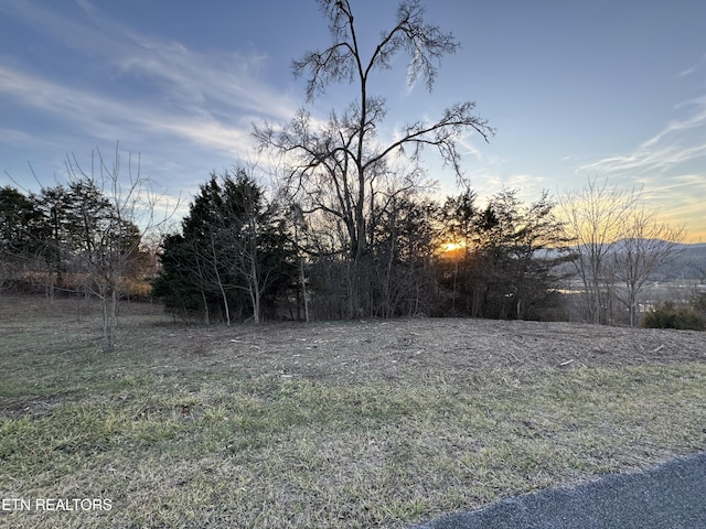 Listing photo 2 for Hidden Mountain Way, Newport TN 37821