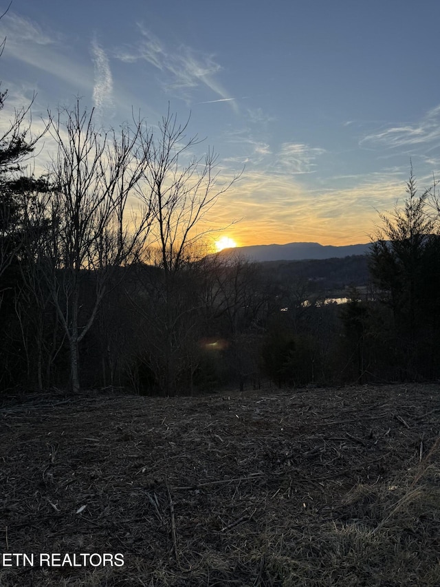 Hidden Mountain Way, Newport TN, 37821 land for sale