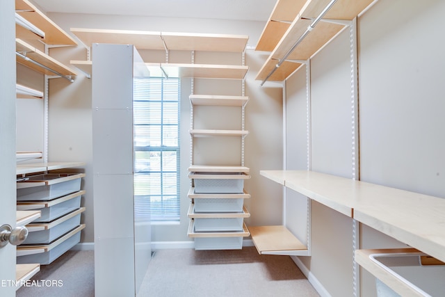 view of spacious closet