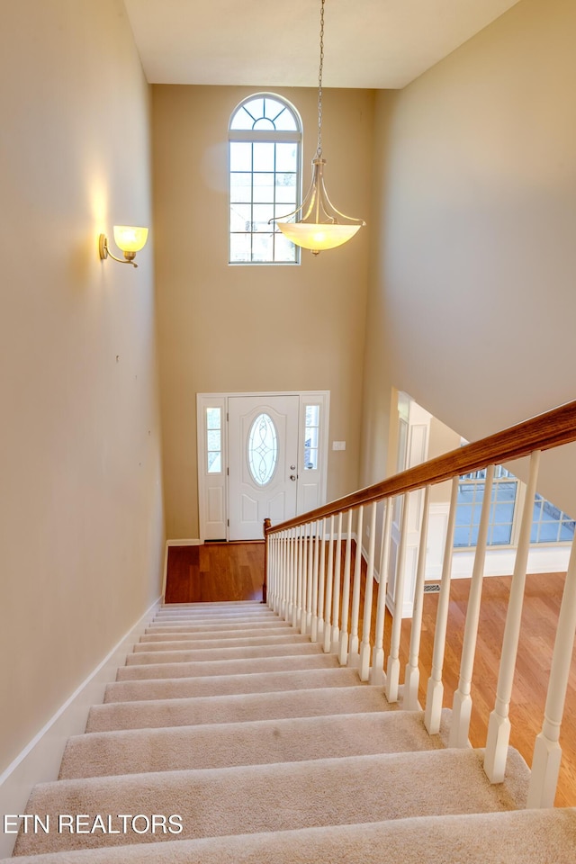 stairway featuring a high ceiling and carpet floors