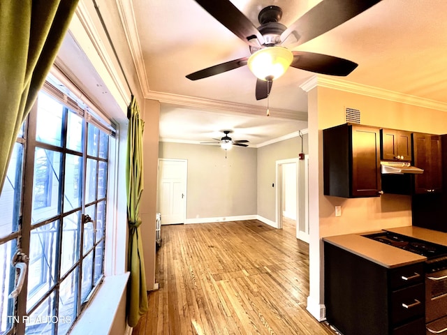 kitchen featuring dark brown cabinetry, crown molding, and light hardwood / wood-style floors