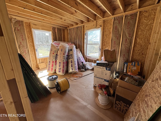 miscellaneous room featuring plenty of natural light