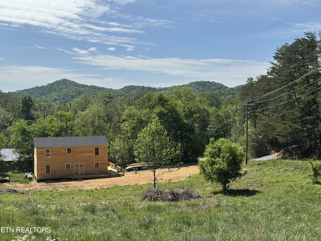 157 Greasy Cove Rd, Cosby, TN 37722 - view of mountain background with a heavily wooded area