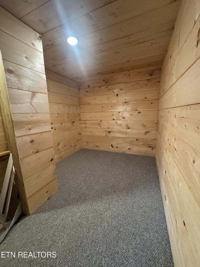 157 Greasy Cove Rd, Cosby, TN 37722 - spare room featuring wooden walls, carpet, wood ceiling, a relaxing sauna, and recessed lighting
