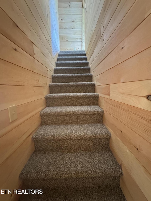 157 Greasy Cove Rd, Cosby, TN 37722 - stairs featuring wooden walls