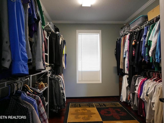 walk in closet featuring dark wood-type flooring