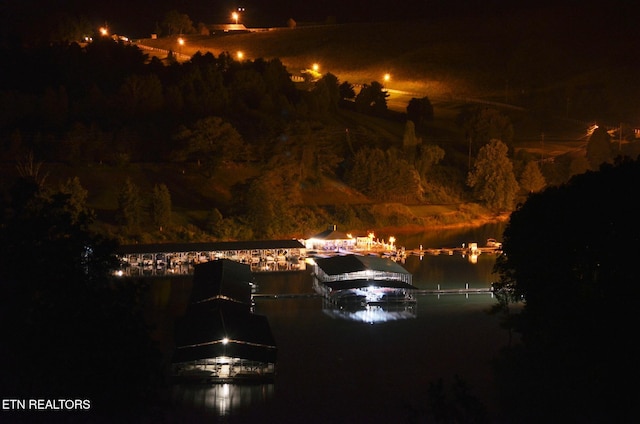 111 Deer Run Pt, Lafollette, TN 37766 - water view featuring a dock