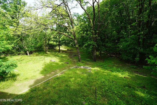2990 Wassom Memorial Hwy, Spring City, TN 37381 - photo 3