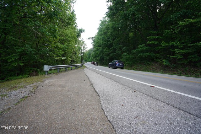 2990 Wassom Memorial Hwy, Spring City, TN 37381 - photo 4