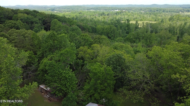 2990 Wassom Memorial Hwy, Spring City, TN 37381 - photo 9