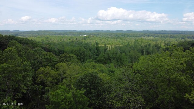 2990 Wassom Memorial Hwy, Spring City, TN 37381 - photo 10