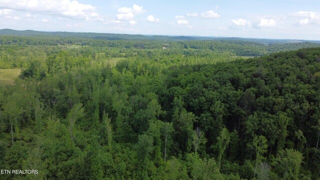 2990 Wassom Memorial Hwy, Spring City, TN 37381 - photo 11